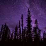 Photo purple color