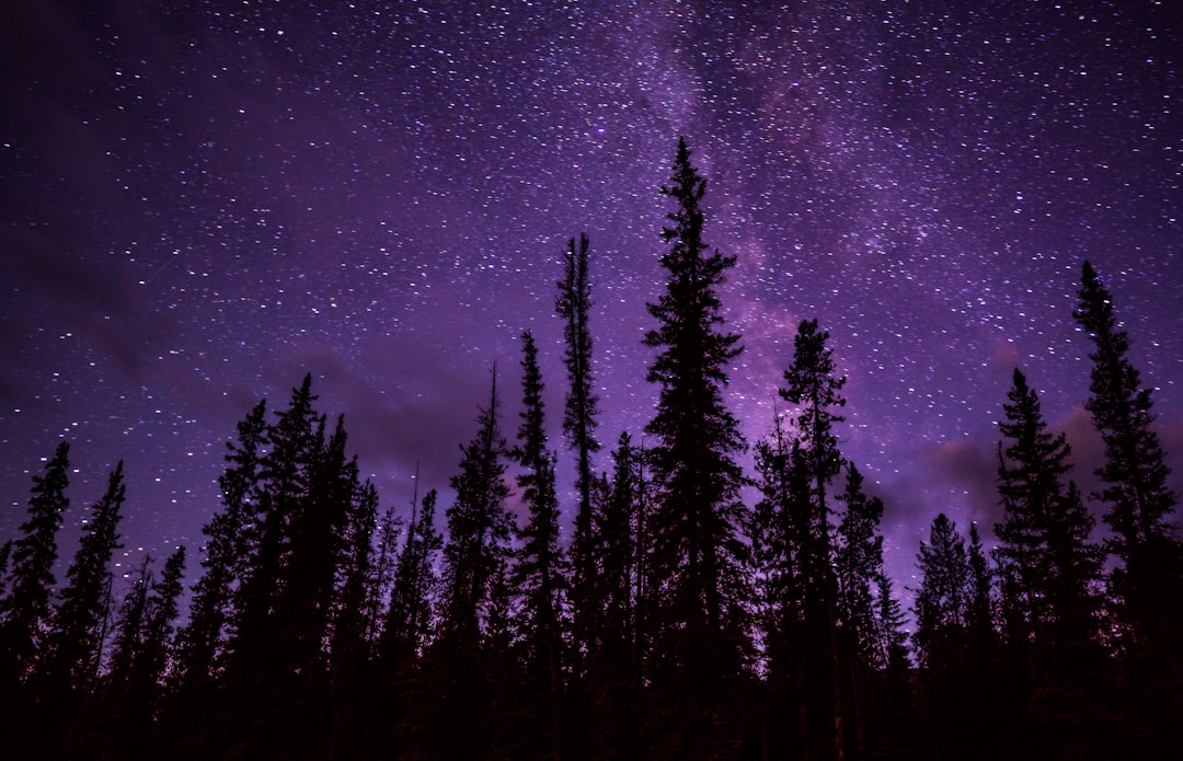 Photo purple color
